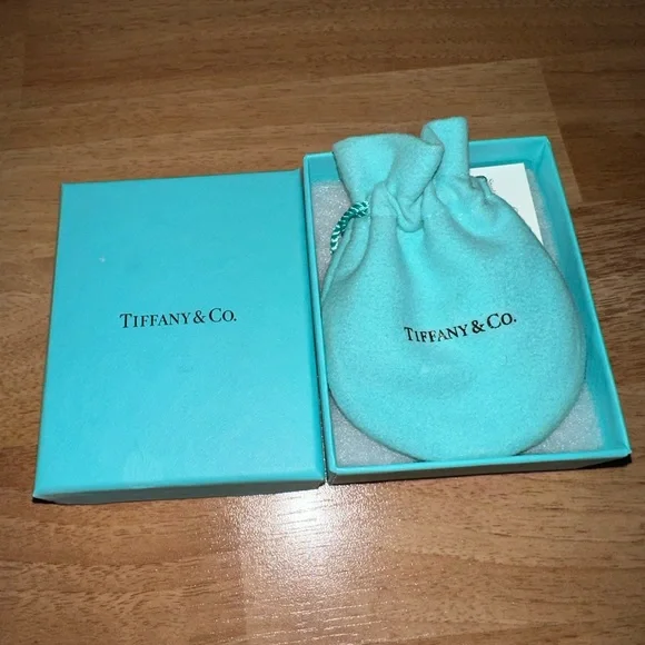 Tiffany T Square Bracelet in Sterling Silver - Picture 9 of 14